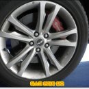 카프로닥터 이미지