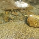 신계할머니 이미지