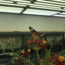 서울숲5 이미지