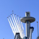 평창동계올림픽 G-28, 공군 특수비행팀 블랙이글스가 응원합니다. 이미지