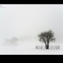 가야목장 이미지