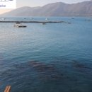 흑진주마리나리조트 이미지