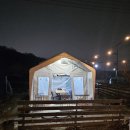 47 | ​[의정부] 고산동 '보한재47' 솔직 후기: 겉바속촉 슈바인학센과 캠핑 감성의 만남 🍖💸