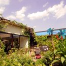 이조1리 이미지