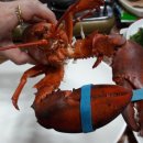 용왕회집 이미지