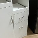 영덕주짓수 | 새해가 밝았어요