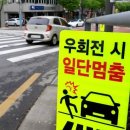 일단정지 Daum카페