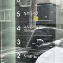 모아뜨 | 성수메이크업 모아뜨 후기｜강아지생일 기념 촬영 전 화려한 변신 성공
