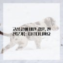 선한약속치과의원 이미지