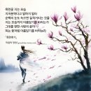 목련@사랑 | 목련후기 - 복효근