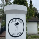 팜트리 빌리지 이미지