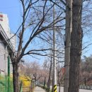 불광 둘레길 관광안내소 이미지