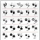 11월의 발자국 이미지