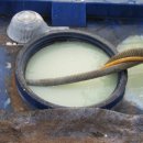 농장 천지인 이미지