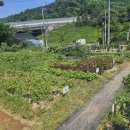 행복2농장 이미지