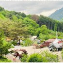 녹천농장 이미지