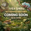 대구 아쿠아리움 이미지