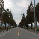 월호평길 이미지