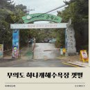 하나개편의점 | 하나개해수욕장 포내갯벌체험 후기｜무의도 방갈로 예약 및 이용팁!
