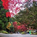 대한다원화장실 이미지