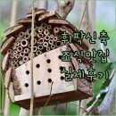 청정온돌집 | 휘닉스파크 근처 숙소 분석 2025년 신축 호텔과 조식 맛집 실제 투숙 후기 정리