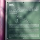 196호 Daum카페