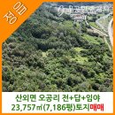 참신한공인중개사사무소 이미지