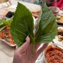 하삼동커피괴정뉴코아점 | 일상기록｜여름준비는 됐는데 상반기 마무리는 아직 준비 안됐어요