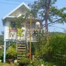 월대산로 이미지