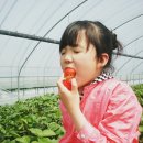 부덕농장 이미지