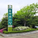 늘푸른 | 창원 늘푸른전당 겹벚꽃 실시간 방문 후기