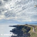 고성리-15 | 성산일출봉 광치기해변 섭지코지 제주 동쪽 가성비 코스 정리