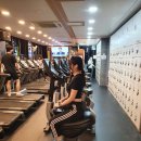 LEO GYM 이미지