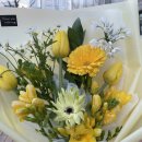 미도파 | [청량리/제기동] 제기동 미도파 화원, 인스타 맛집보다 예쁜 꽃집 추천 with 가성비를 곁들인