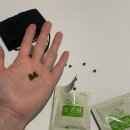 킴스약국 이미지