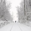 눈꽃여행 이미지