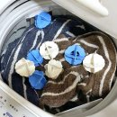 부산물세탁 이미지