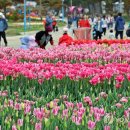 꽃지해안공원 이미지