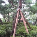 오금초교 이미지