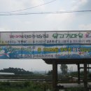 물고기마을 이미지