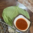 엽기꼼닭발