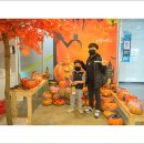 리틀마티스미술학원
