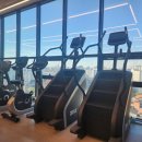 보떼 짐 이미지