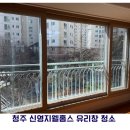 신영약품 | 청주 복대동 신영지웰홈스 유리창 청소 후기 |구축 아파트 창문 관리 팁