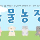 중대형견 침대 추천좀! 이미지