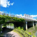 장자호수공원 장미터널 이미지