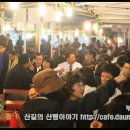 부산자갈치 이미지