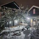 가평로제펜션 이미지