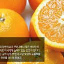 지킴이 태권도장 이미지