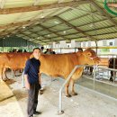 서성목장 이미지